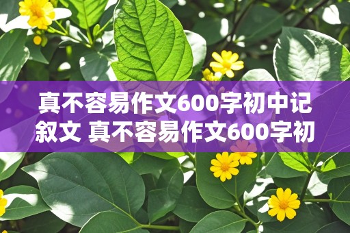 真不容易作文600字初中记叙文 真不容易作文600字初中记叙文开头