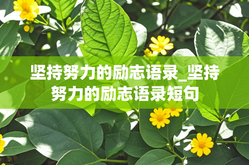 坚持努力的励志语录_坚持努力的励志语录短句