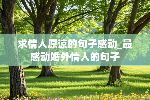 求情人原谅的句子感动_最感动婚外情人的句子