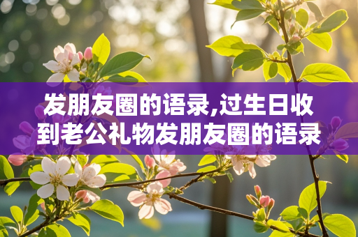 发朋友圈的语录,过生日收到老公礼物发朋友圈的语录