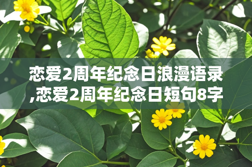 恋爱2周年纪念日浪漫语录,恋爱2周年纪念日短句8字