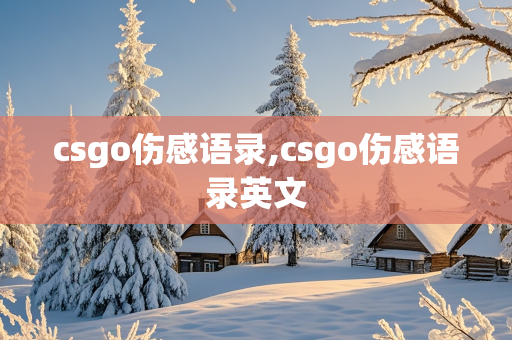 csgo伤感语录,csgo伤感语录英文