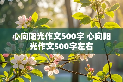 心向阳光作文500字 心向阳光作文500字左右