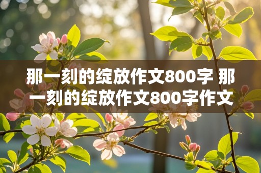 那一刻的绽放作文800字 那一刻的绽放作文800字作文