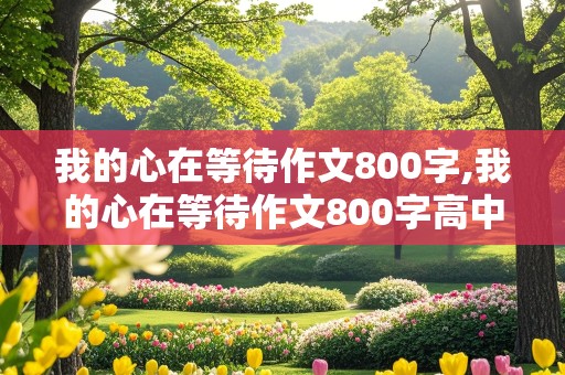 我的心在等待作文800字,我的心在等待作文800字高中