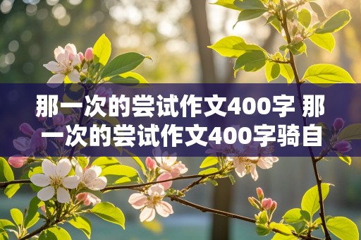 那一次的尝试作文400字 那一次的尝试作文400字骑自行车