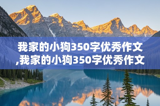 我家的小狗350字优秀作文,我家的小狗350字优秀作文四年级