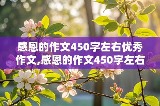 感恩的作文450字左右优秀作文,感恩的作文450字左右优秀作文大全