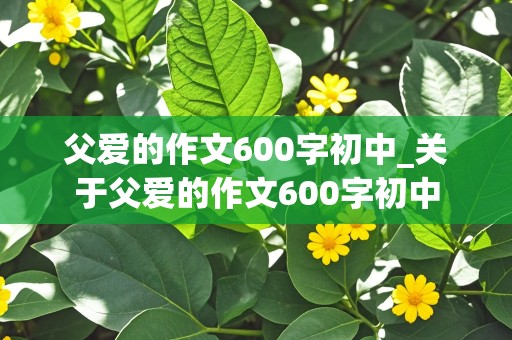 父爱的作文600字初中_关于父爱的作文600字初中