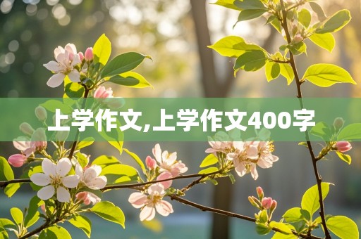 上学作文,上学作文400字