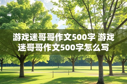 游戏迷哥哥作文500字 游戏迷哥哥作文500字怎么写