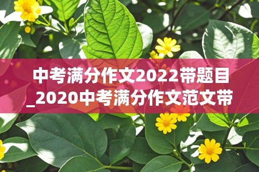 中考满分作文2022带题目_2020中考满分作文范文带题目