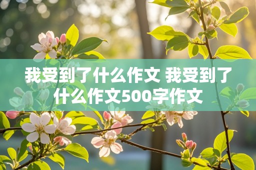 我受到了什么作文 我受到了什么作文500字作文