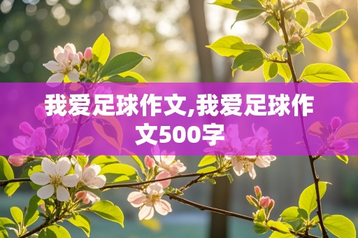 我爱足球作文,我爱足球作文500字