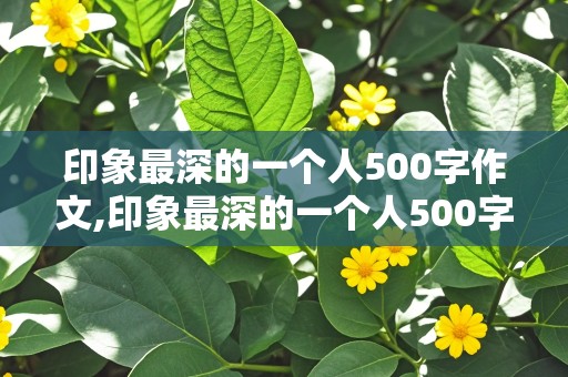 印象最深的一个人500字作文,印象最深的一个人500字作文小学阶段