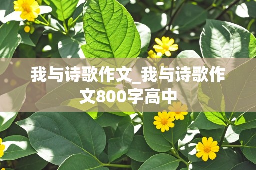 我与诗歌作文_我与诗歌作文800字高中