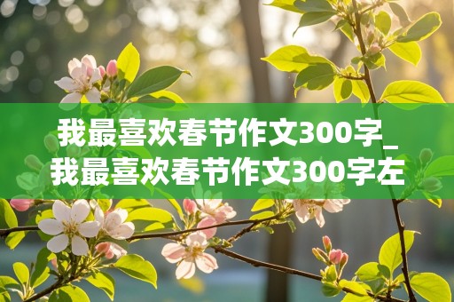 我最喜欢春节作文300字_我最喜欢春节作文300字左右