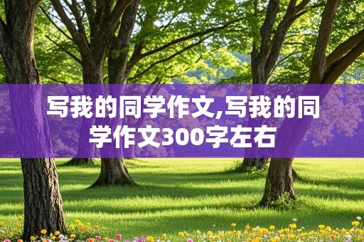 写我的同学作文,写我的同学作文300字左右