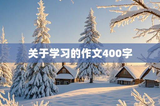 关于学习的作文400字