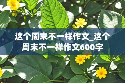 这个周末不一样作文_这个周末不一样作文600字