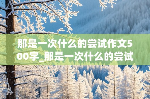 那是一次什么的尝试作文500字_那是一次什么的尝试550字作文