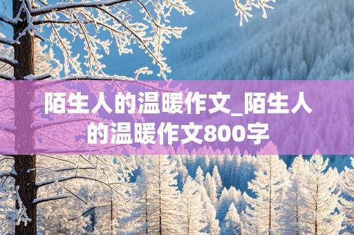 陌生人的温暖作文_陌生人的温暖作文800字