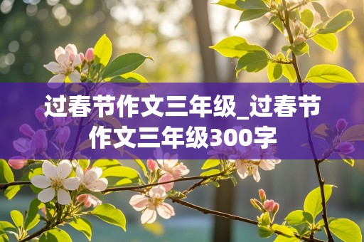 过春节作文三年级_过春节作文三年级300字