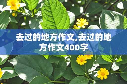 去过的地方作文,去过的地方作文400字