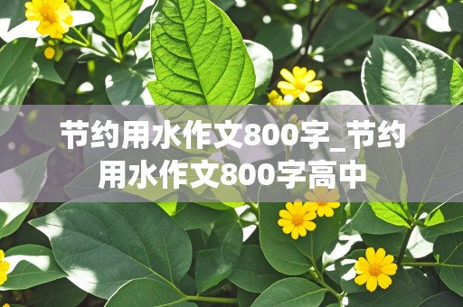 节约用水作文800字_节约用水作文800字高中