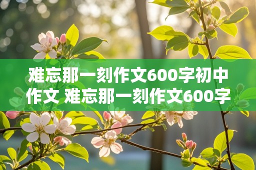 难忘那一刻作文600字初中作文 难忘那一刻作文600字初中作文免费阅读