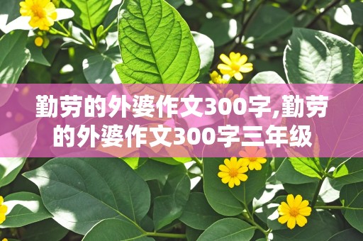 勤劳的外婆作文300字,勤劳的外婆作文300字三年级