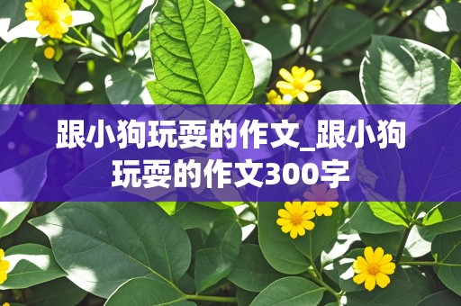 跟小狗玩耍的作文_跟小狗玩耍的作文300字