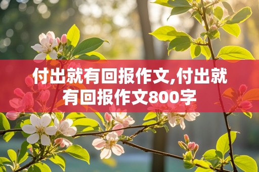 付出就有回报作文,付出就有回报作文800字