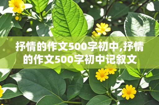 抒情的作文500字初中,抒情的作文500字初中记叙文