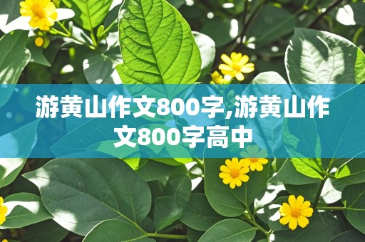 游黄山作文800字,游黄山作文800字高中