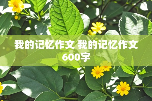 我的记忆作文 我的记忆作文600字