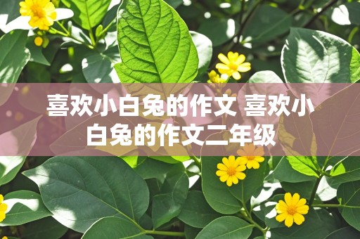 喜欢小白兔的作文 喜欢小白兔的作文二年级