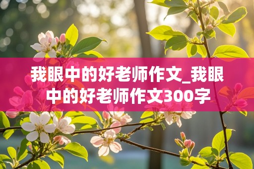 我眼中的好老师作文_我眼中的好老师作文300字