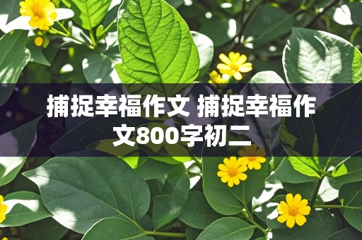 捕捉幸福作文 捕捉幸福作文800字初二