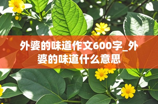 外婆的味道作文600字_外婆的味道什么意思