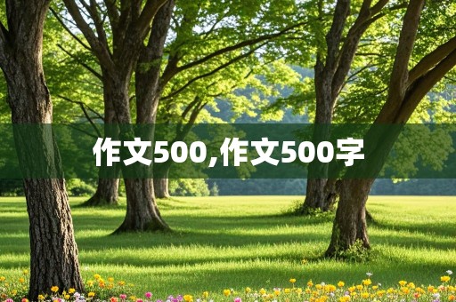 作文500,作文500字