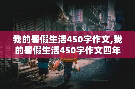 我的暑假生活450字作文,我的暑假生活450字作文四年级