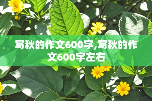 写秋的作文600字,写秋的作文600字左右