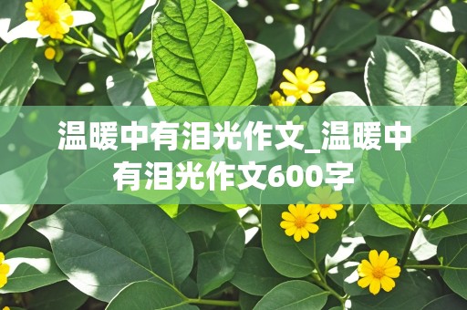 温暖中有泪光作文_温暖中有泪光作文600字