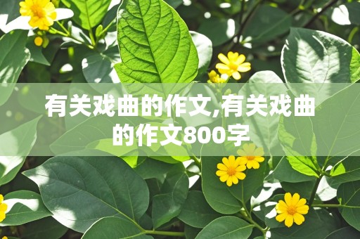 有关戏曲的作文,有关戏曲的作文800字