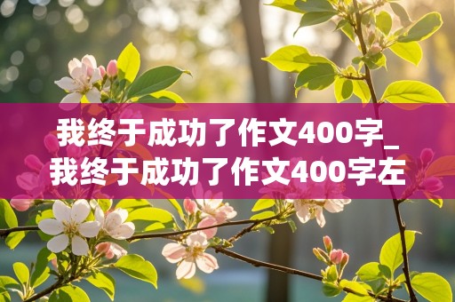 我终于成功了作文400字_我终于成功了作文400字左右