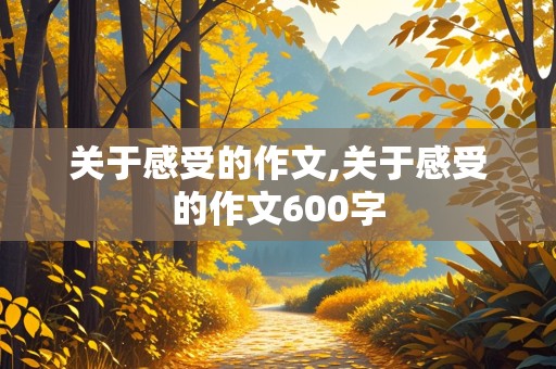 关于感受的作文,关于感受的作文600字