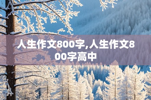 人生作文800字,人生作文800字高中