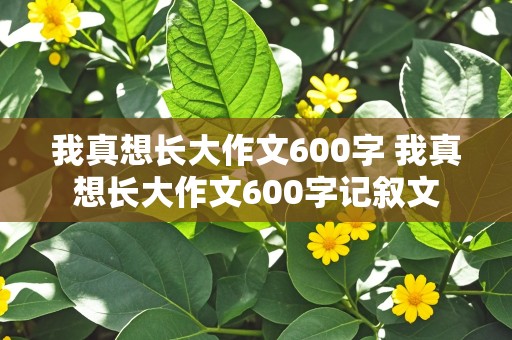 我真想长大作文600字 我真想长大作文600字记叙文