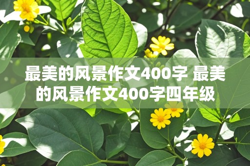 最美的风景作文400字 最美的风景作文400字四年级